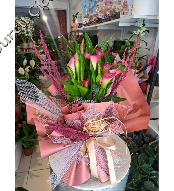 PEMBE GALA ÇİÇEĞİ