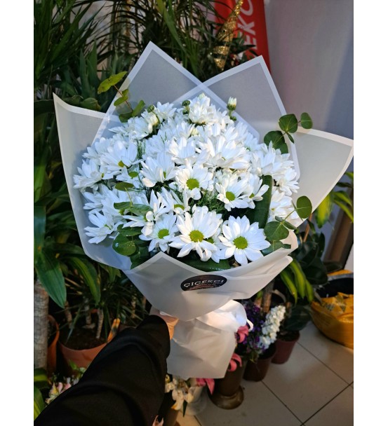 PAPATYALAR 001